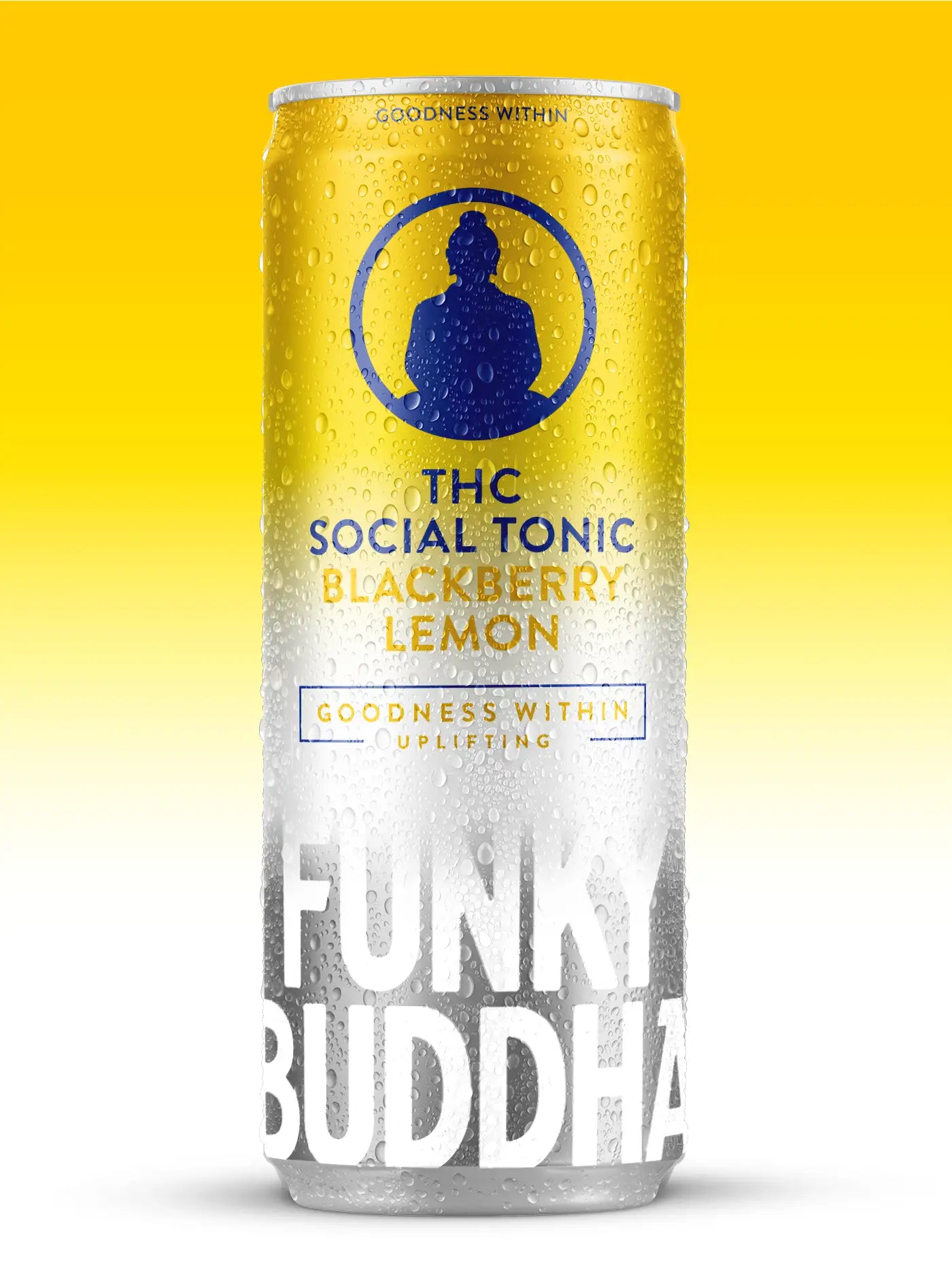 Blackberry Lemon Social Tonic