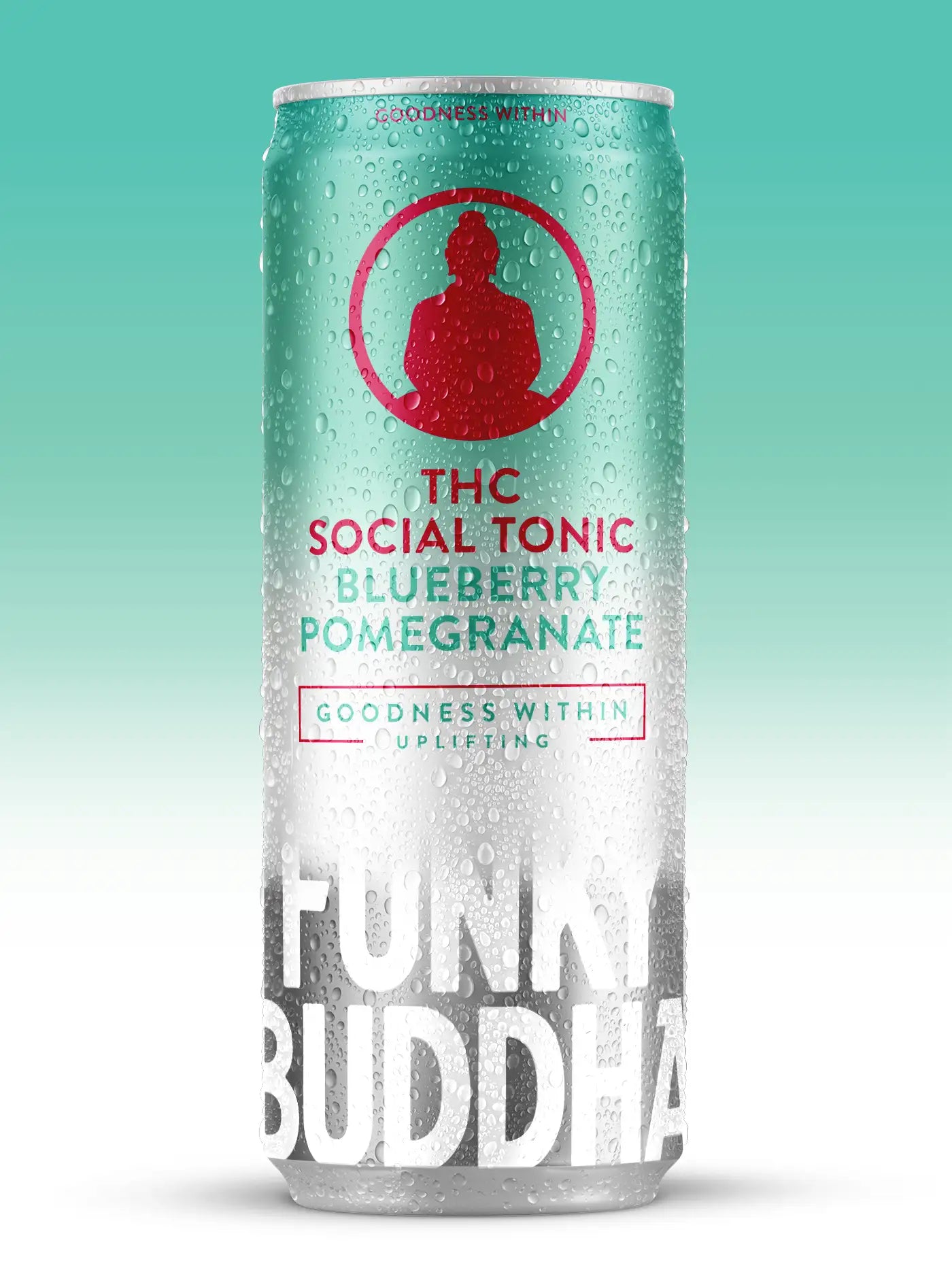 Blueberry Pomegranate Social Tonic