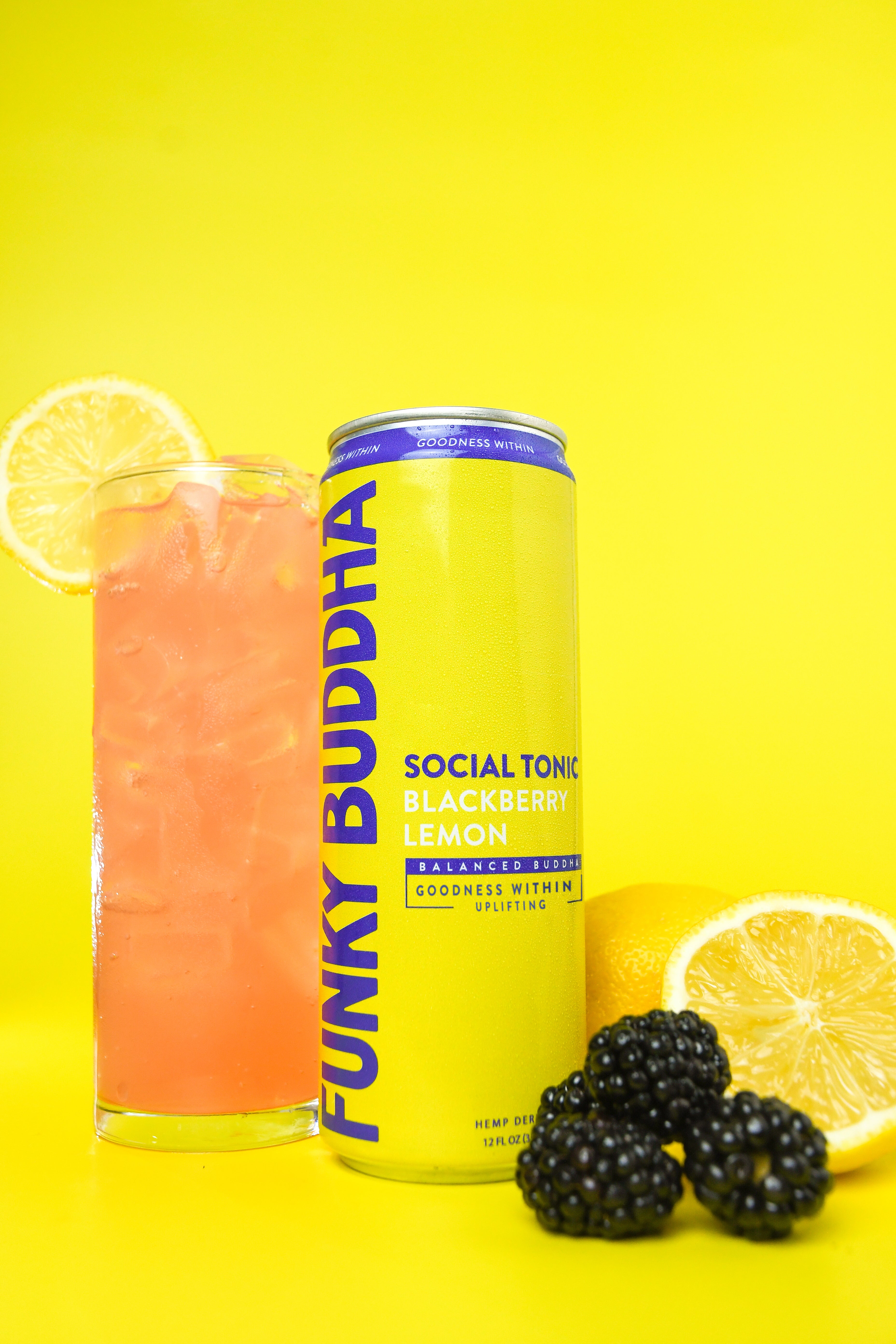 Blackberry Lemon Social Tonic